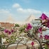 jimmy pyramids hotel