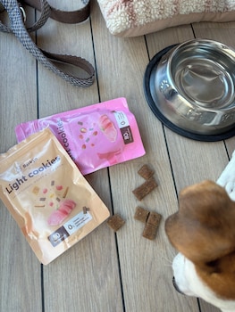 apartamentos libere malaga trinidad