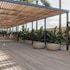 bonito ibiza by o beach new opening