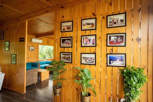 aanandam resort and spa pushkar
