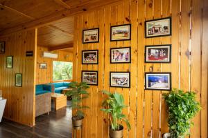 aanandam resort and spa pushkar