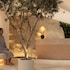 novotel malta sliema opening june 2025