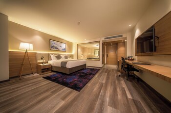 best western plus kathmandu hotel