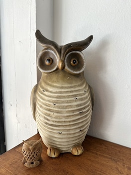 sleep owl jomtien