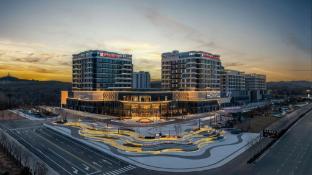 hilton garden inn ordos kangbashi