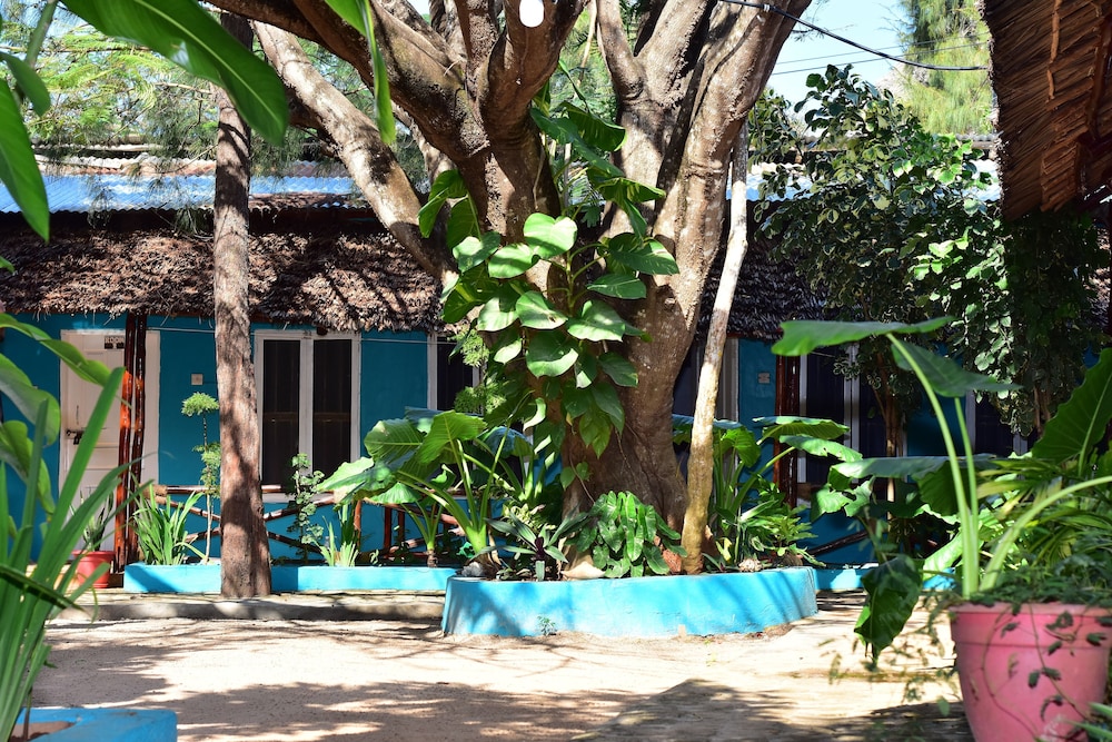 la neisha hotel nungwi