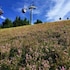 mountain view hotel willingen bw signature collection