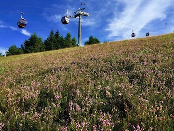 mountain view hotel willingen bw signature collection