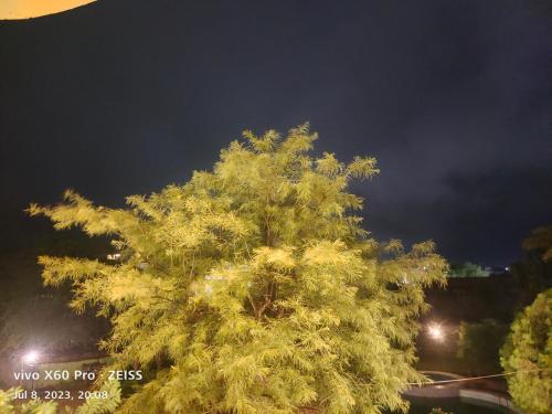 hotel hillview pushkar