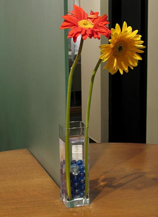 hotel studio estique