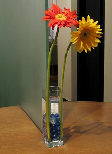 hotel studio estique