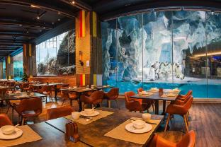 chimelong penguin hotel