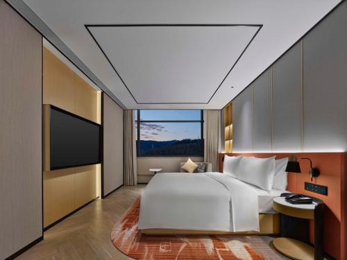 hilton garden inn huangshan scenic area south gate