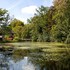 harmelen