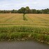 harmelen