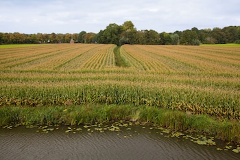 harmelen