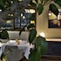 intercontinental porto palacio das cardosas by ihg