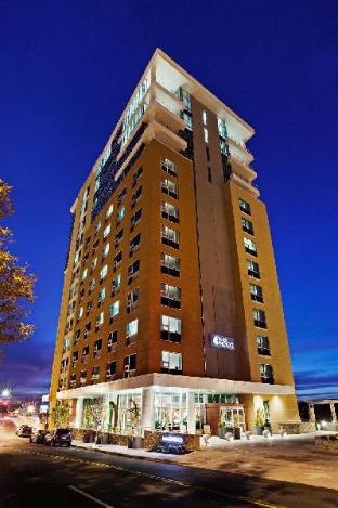 hotel indigo asheville downtown by ihg