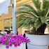hotel elisir