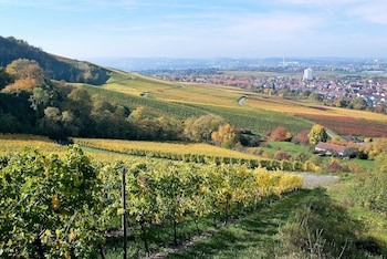 best western plus hotel fellbach stuttgart