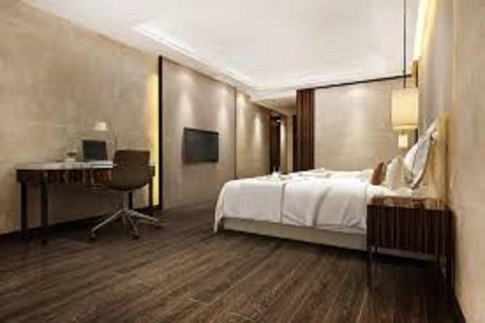 jet fox by aero view hotel delhi airport