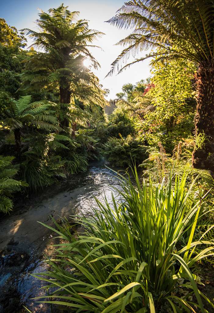 rotorua