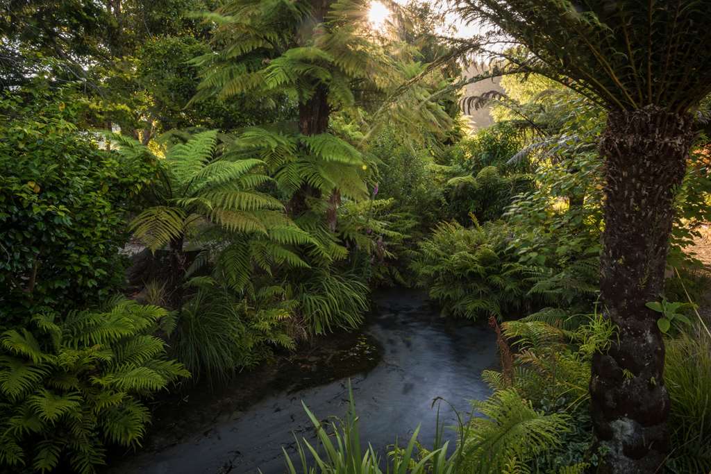 rotorua