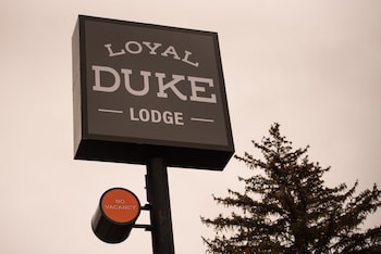 loyal duke lodge