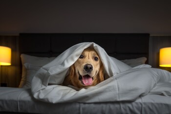 clarion hotel oslo airport