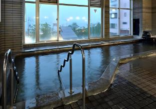 matsue new urban hotel