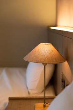 matsue new urban hotel