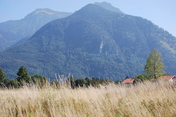 grassau