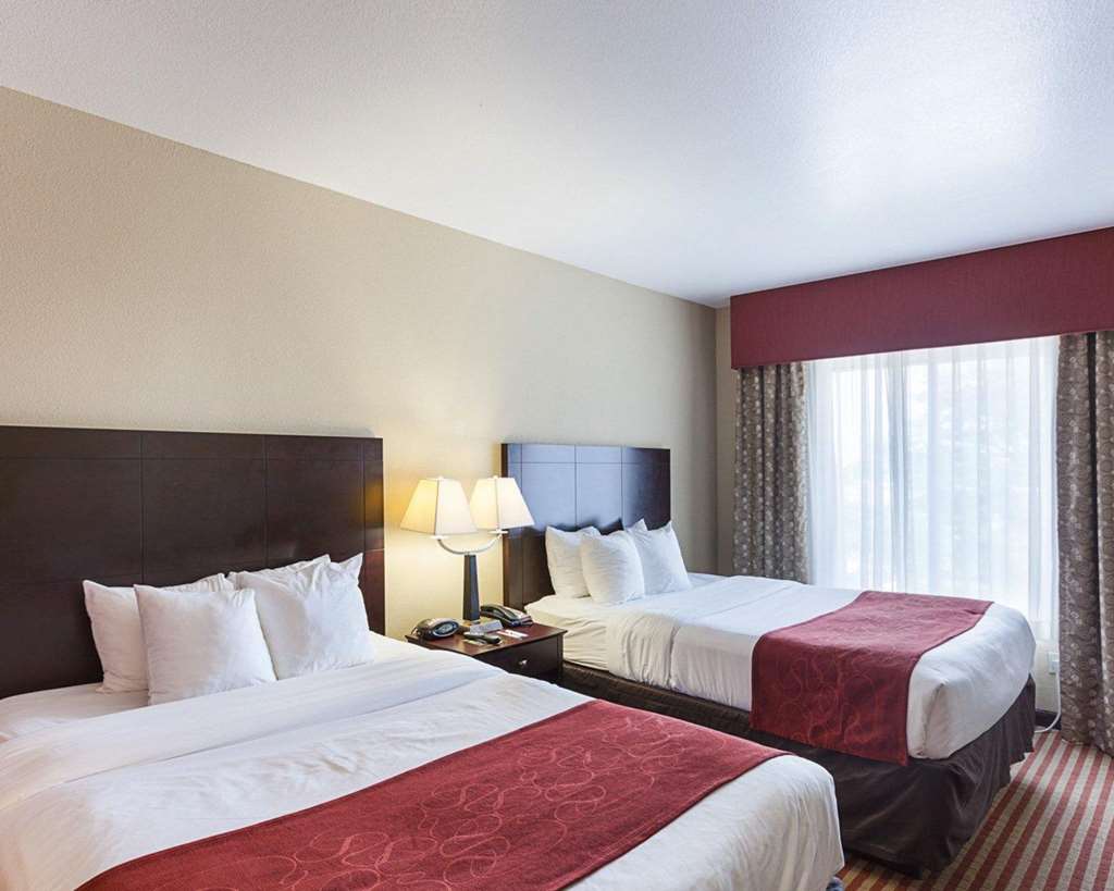 comfort suites medical center near six flags