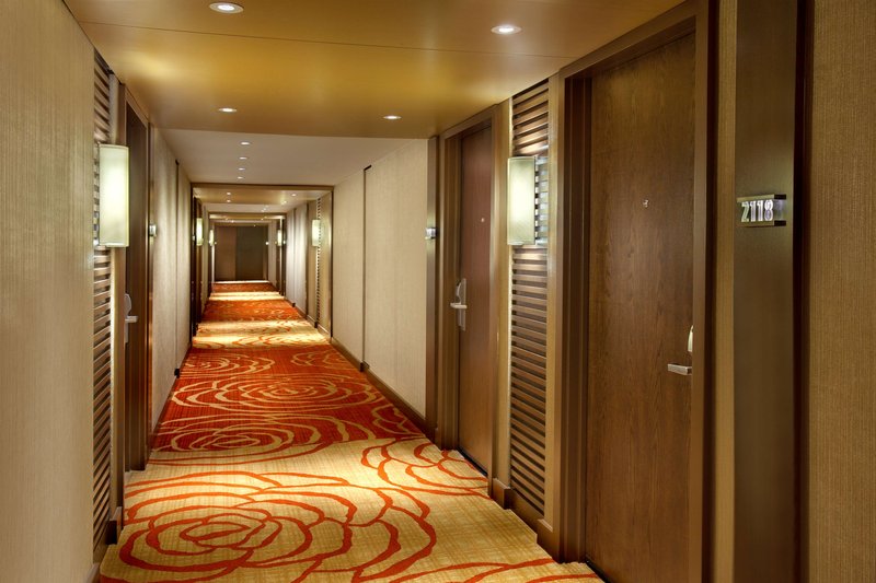 hilton palacio del rio