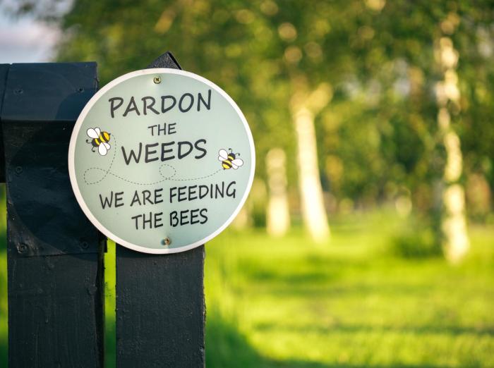 the waterfront hotel spa and golf