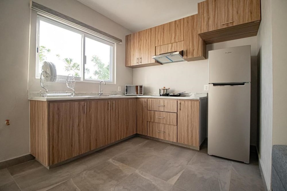 hs hotsson smart chapala