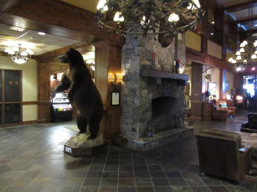whitefish