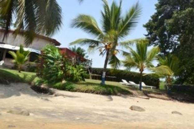 kribi