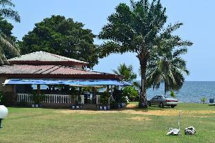 kribi