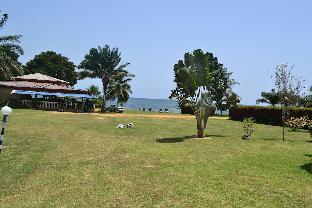kribi