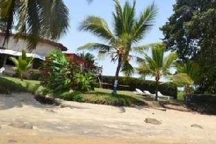 kribi