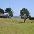 kribi