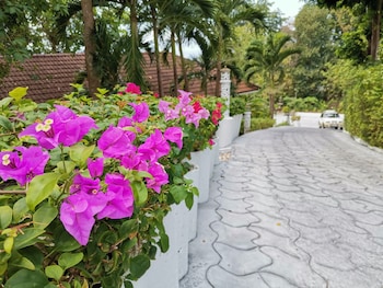 on the hill karon resort