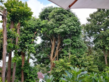 on the hill karon resort