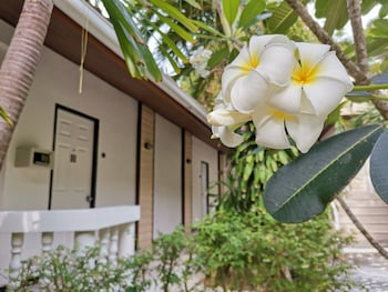 on the hill karon resort