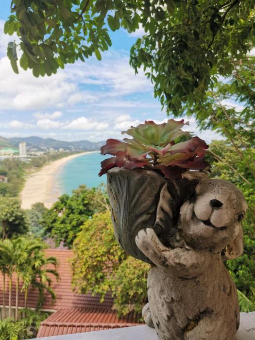 on the hill karon resort