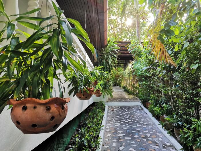 on the hill karon resort