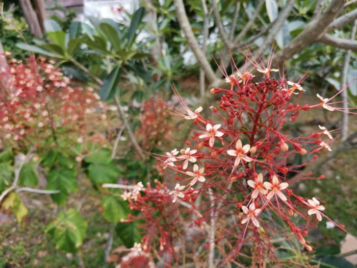 on the hill karon resort