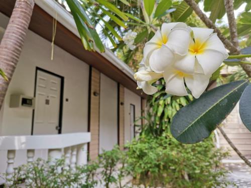 on the hill karon resort