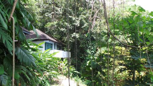 on the hill karon resort